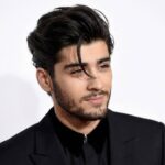 Zayn Malik protrait